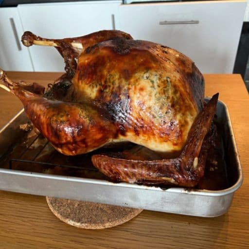 Roast Turkey - image